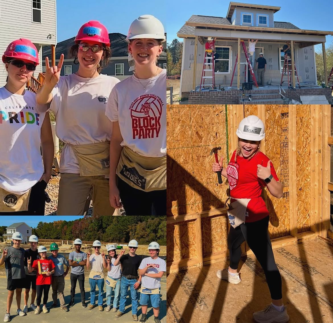 habitat chapter photo compilation